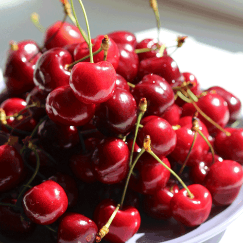 Bing Cherry Tree Fruit