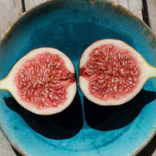 Brown Turkey Fig Fruit