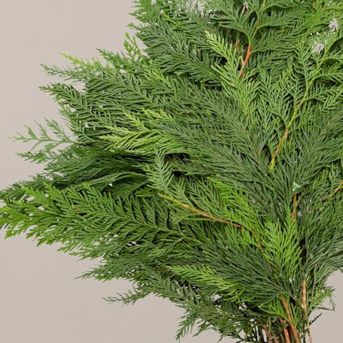 The sill holiday bough bundles cedar variant2