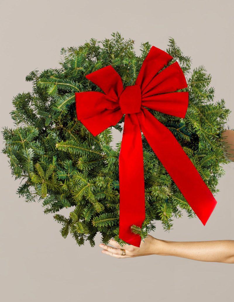 The Sill holiday wreath with bow Variant 1