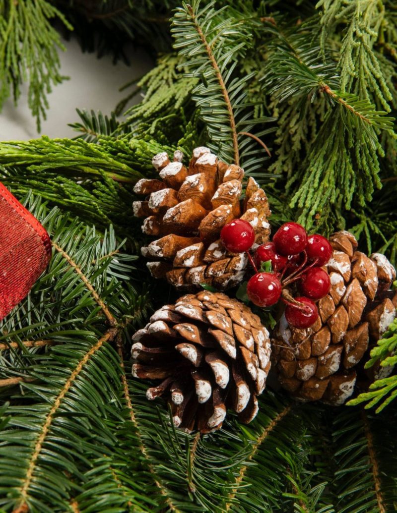 The Sill holiday wreath with pinecones berries Variant 2