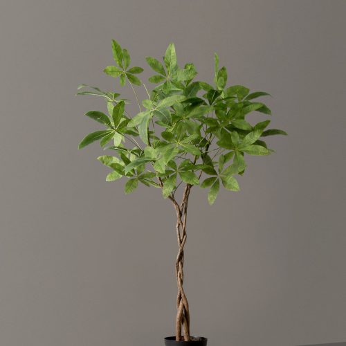 the sill Faux Braided Money Tree growpot variant