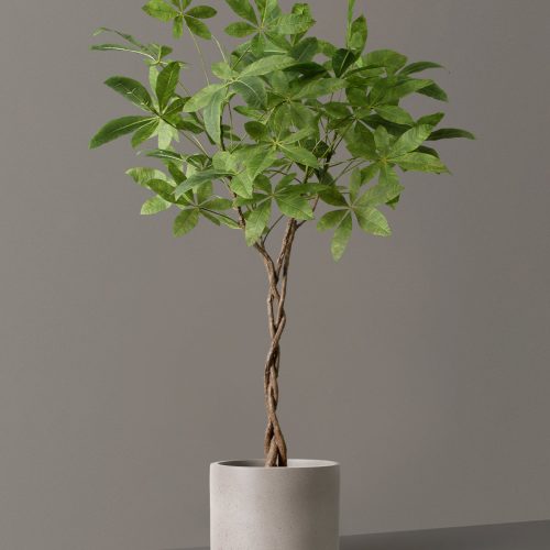 the sill Faux Money Tree Large Mexia Cement Grey Variant