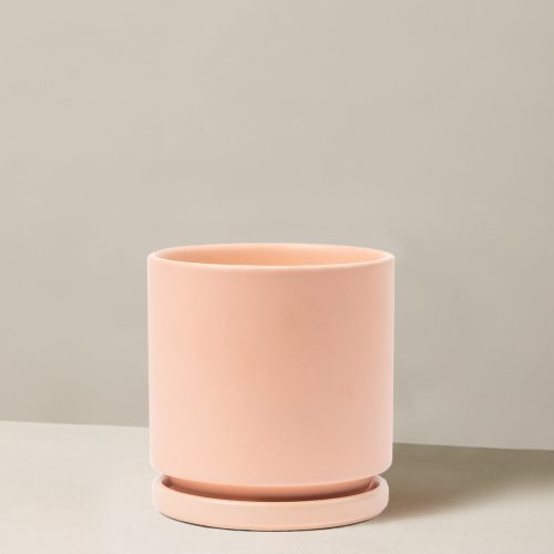 the sill Momma Pot Isabella Blush Variant 232179b7 231c 4f5a b01d 1695ae312759