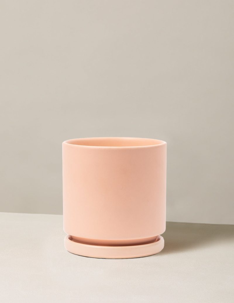 the sill Momma Pot Isabella Blush Variant 232179b7 231c 4f5a b01d 1695ae312759