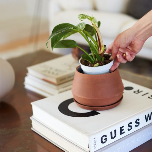 the sill Rancho Planter 1 Gallery