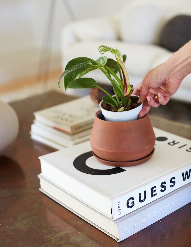 the sill Rancho Planter 1 Gallery