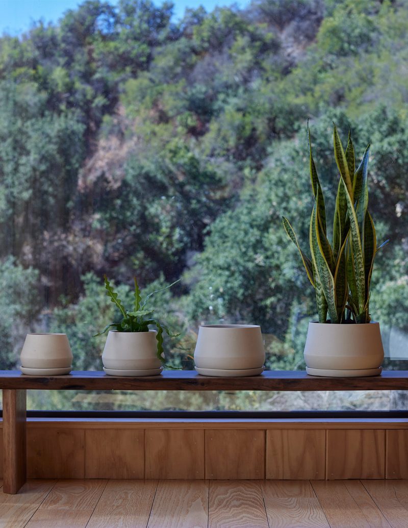 the sill Rancho Planter 4 Gallery