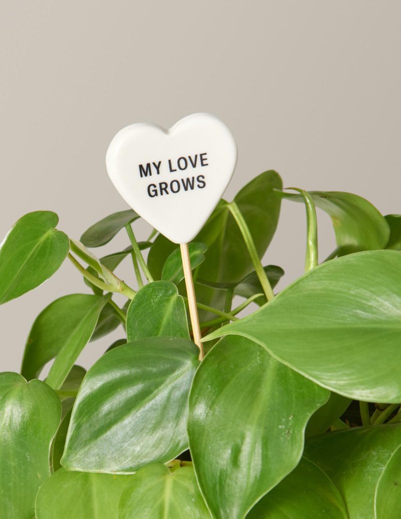 the sill ceramic message pops variant my love grows