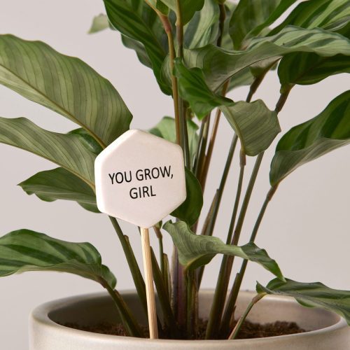 the sill ceramic message pops variant you grow girl