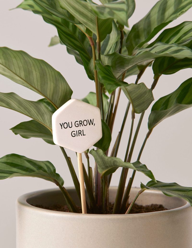 the sill ceramic message pops variant you grow girl