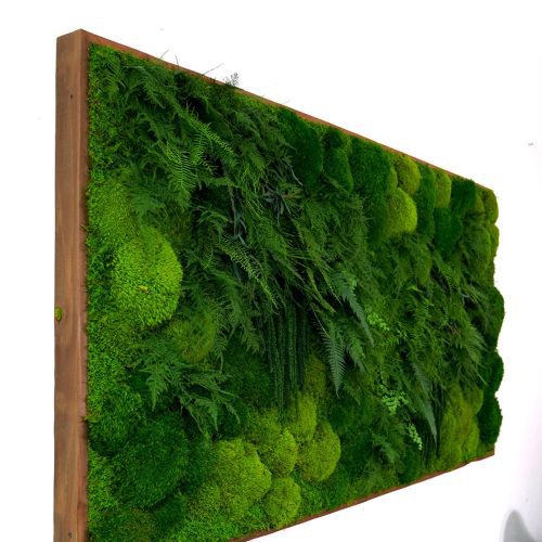 the sill living moss wall 68x33in gallery 01