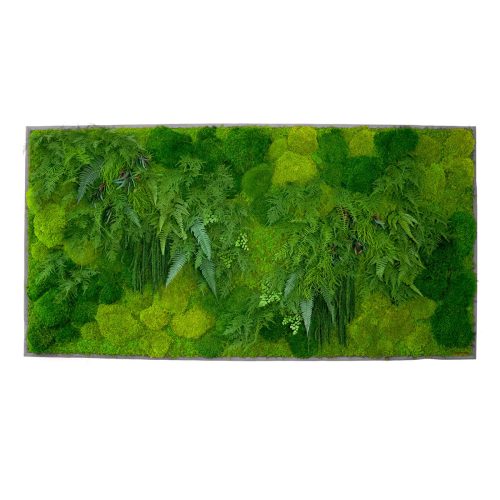 the sill living moss wall 68x33in variant