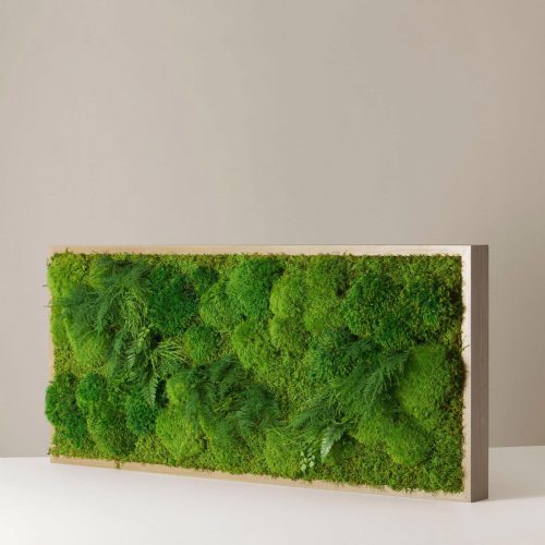 the sill living moss wall featured 142ee209 0ec7 413a 90e4 b53f56e7de15