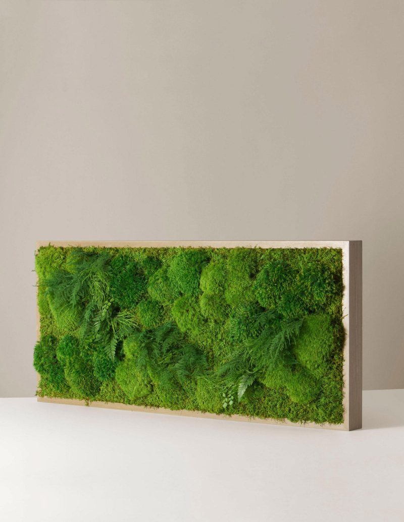 the sill living moss wall featured 142ee209 0ec7 413a 90e4 b53f56e7de15