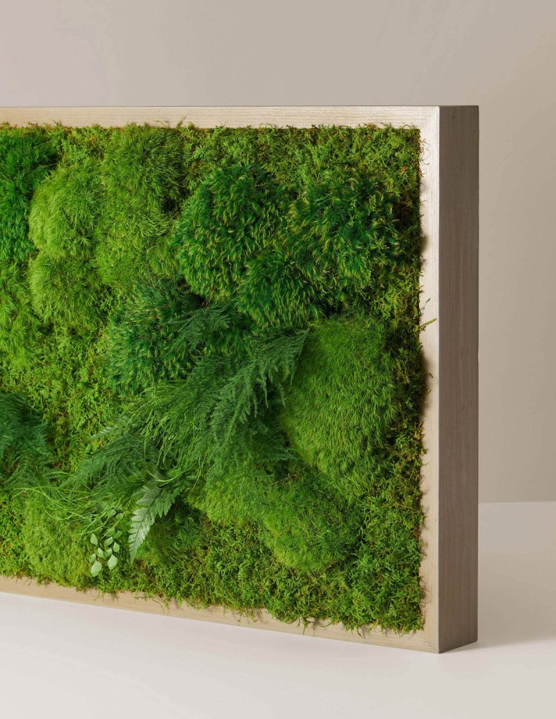 the sill living moss wall gallery all 01 3188ff34 53d2 4838 a382 dfc7209495db