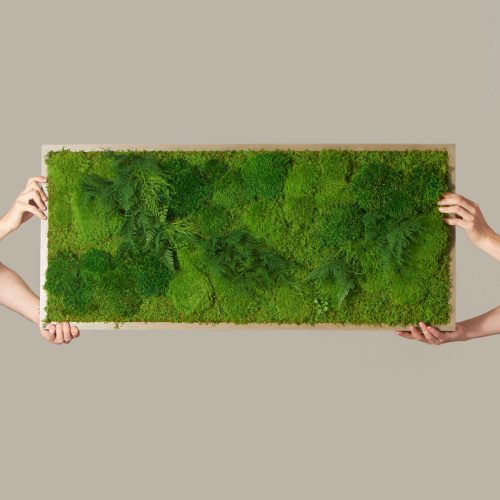 the sill living moss wall gallery all 02 bc980c1e 9c97 4414 b307 17687deb3cbb