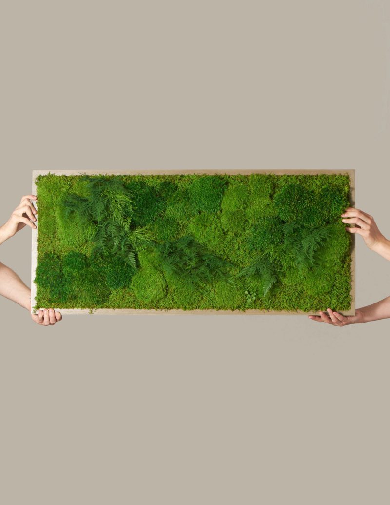 the sill living moss wall gallery all 02 bc980c1e 9c97 4414 b307 17687deb3cbb